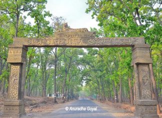 अचानकमार वन्यजीव अभयारण्य से जुड़े उपाख्यान और मिथक, छत्तीसगढ़ अचानकमार वन्य प्राणी अभ्यारण्य छत्तीसगढ़