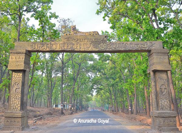 अचानकमार वन्य प्राणी अभ्यारण्य छत्तीसगढ़ 