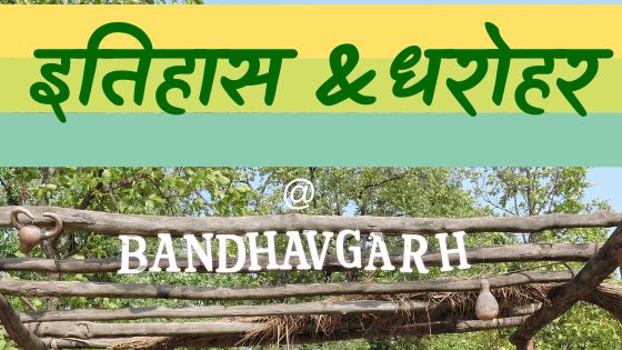 बांधवगढ़ का इतिहास और धरोहर 