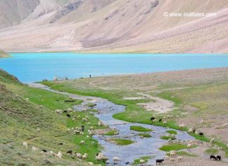 चंद्रताल – लाहौल स्पीति की मनमोहक नीली झील चंद्रताल - लाहौल स्पीति हिमाचल प्रदेश