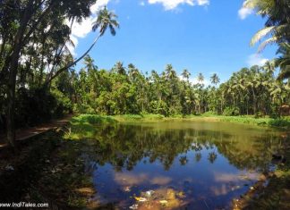 दीवार द्वीप – गोवा की मांडवी नदी में प्रकृति एवं धरोहर का आनंद दीवार द्वीप का नैसर्गिक सौंदर्य