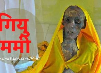 ५०० वर्ष पुराना गियु ममी के रहस्य की खोज यात्रा गियु ममी