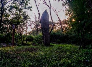 हैदराबाद में भारत का प्राचीनतम महापाषाण स्थल मेनहिर या स्मारक शिला