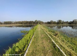 नवाबगंज पक्षी अभयारण्य- लखनऊ कानपुर महामार्ग पर नवाबगंज की पगडंडियाँ