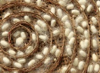 भारत में रेशम के विभिन्न प्रकार – एक परिचय