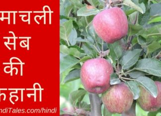 हिमाचली सेब एवं सत्यानन्द स्टोक्स की समृद्धि दायक कथा हिमाचली सेब की कहानी