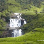 A spring through the tea gardens in Sri Lanka