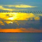 Sunset scene at Galveston