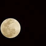 An Evening with Moon