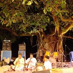 Firflies concert Bangalore