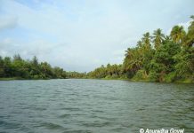 Backwaters of Panchagangavalli river, Kundapura in Coastal Karnataka