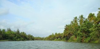 Backwaters of Panchagangavalli river, Kundapura in Coastal Karnataka