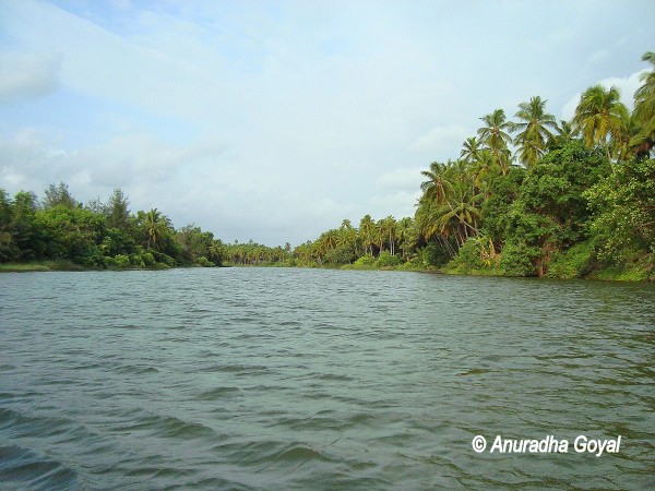 Backwaters of Panchagangavalli river, Kundapura in Coastal Karnataka