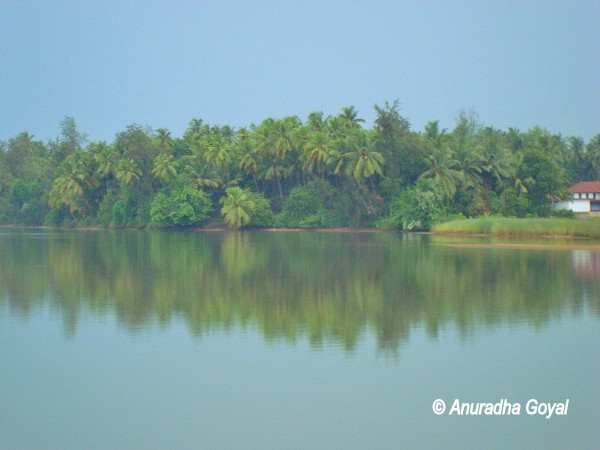 Landscape view across the Panchagangavalli river