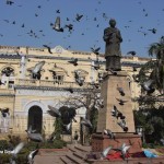 Pegions at Swami Shraddhanand statue outside town hall in Shahajahanabad