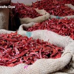 Sacks of Chilly at Khari Baoli - spice market Old Delhi