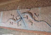 Two Lizards carved mystery at Aghoreshwara temple, Ikkeri