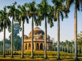 Lodhi Garden - New Delhi