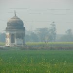 An old Gumbaj in Sarson ka khet at Farrukhnagar