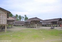 Tribal Huts by the Brahmaputra river