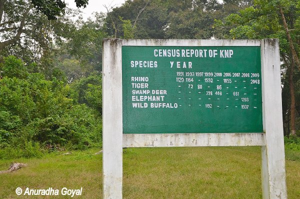 Census data of Wildlife at Kaziranga National Park