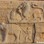 Amazing carvings on the stone in the Rang Mandapa at Hampi