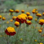 Happy New Year 2012 – Looking back at 2011