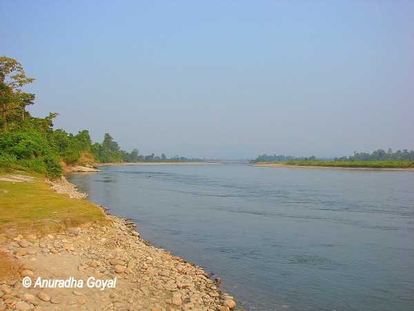 Jia Bhoroli river cris-crossing Nameri National Park