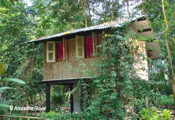 Lodging at Nameri Eco-camp