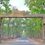 Achanakmar Wildlife Sanctuary & Tiger Reserve, Chhatisgarh