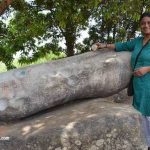 Ringing the Thinthini Pathar at Chhattisgarh