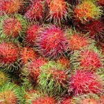 Rambutan fruit flesh is sweet and sour to taste after peeling off the skin