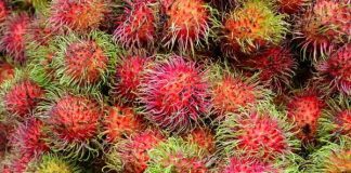 Rambutan fruit flesh is sweet and sour to taste after peeling off the skin