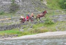 Horse Carts in the mountains