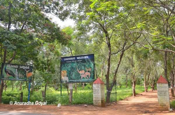 Pocharam Wildlife Sanctuary entrance