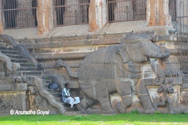 Elephant sculpture on 1000 Pillar Hall Mandapa