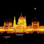 Parliament of Hungary at Night