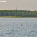 Landscape view of the waterbody in Hyderabad