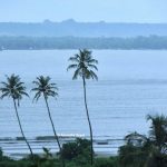 Typical view of Goa's landscape at Dona Paula