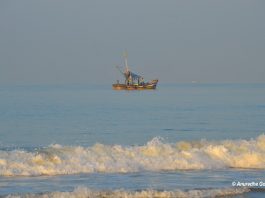 Utorda Beach, Goa – Must Visit South Goa Beaches Fishermen sailing out to seas early morning at Utorda beach