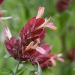 Reflections from 2013