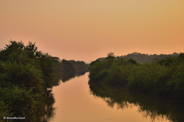 Backwaters canal that helps control flooding