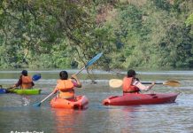 Kayaking water sports at Dandeli over Kali river