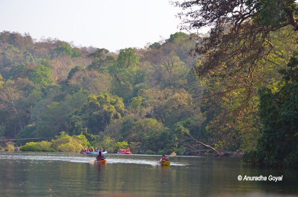 Water sports enthusiasts on Kali river at Dandeli