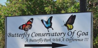 Butterfly conservatory nearby sign board