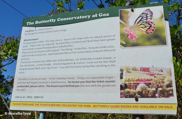 Butterfly Conservatory info board