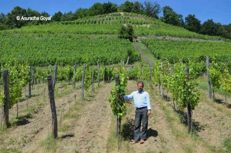 Klaus Zimmerling in his vineyard