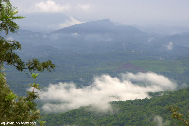 Atop the clouds at Ponmudi Hill Station