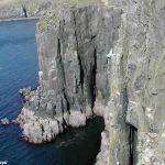 Clicking a flying bird in Scotland – Is it Worth that picture