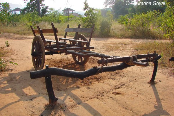 Bullock cart at Denwa Backwater Escape resort